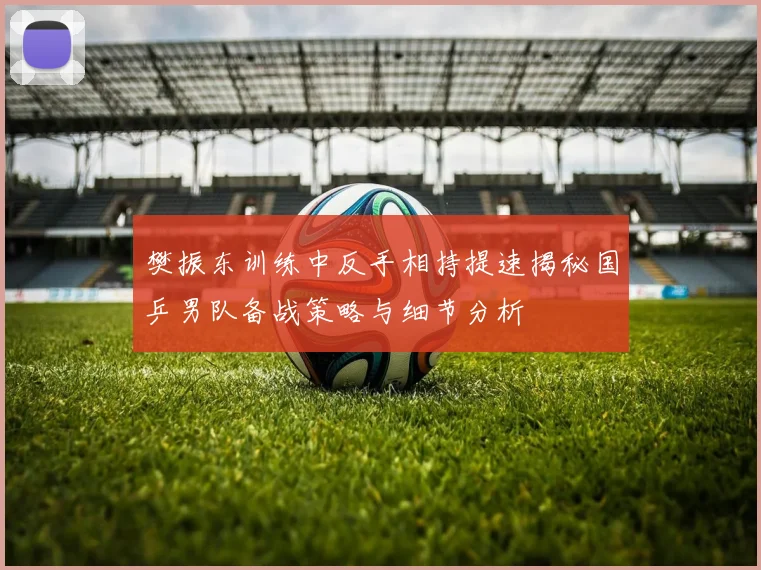 樊振东训练中反手相持提速揭秘国乒男队备战策略与细节分析